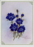 Blue Anemones Greetings Card