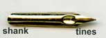 shank and tines of dip pen nib